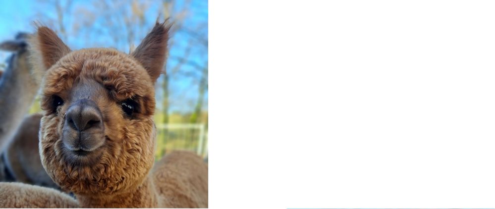 Flauschtasse - Flaviafluff - Rechtshänder